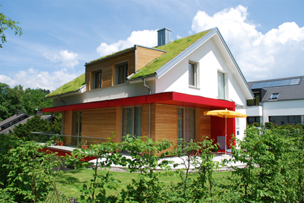 Private house - Exterior view