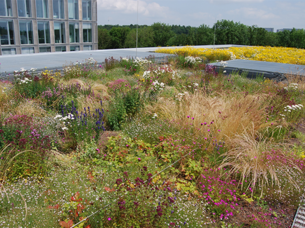 Detailed view of the greenery