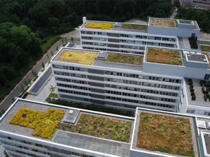 EnBW - Exterior view left