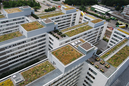EnBW - Exterior view right
